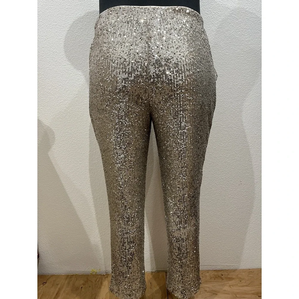NWT Cable & Gauge‎ Silver/Gold Sequined Lined Party Pants XL.